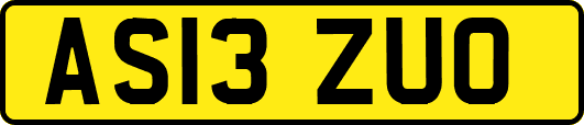 AS13ZUO