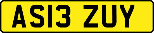 AS13ZUY