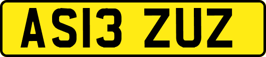 AS13ZUZ