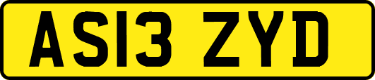 AS13ZYD