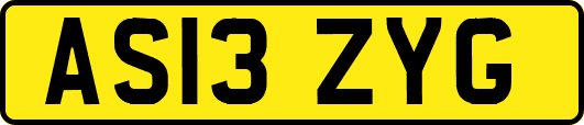 AS13ZYG
