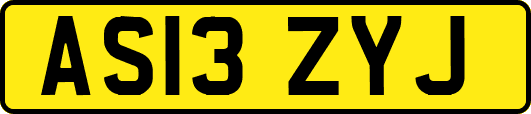 AS13ZYJ