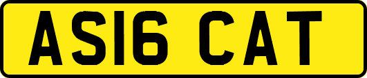 AS16CAT