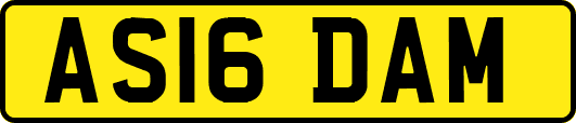 AS16DAM