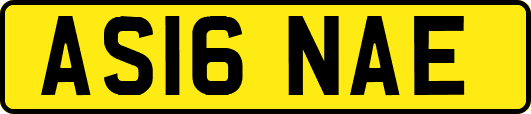AS16NAE