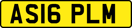 AS16PLM