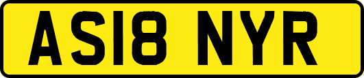 AS18NYR