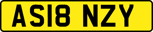 AS18NZY