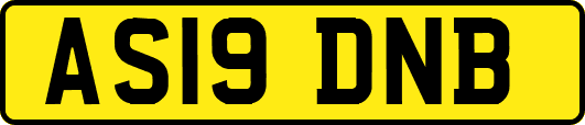 AS19DNB