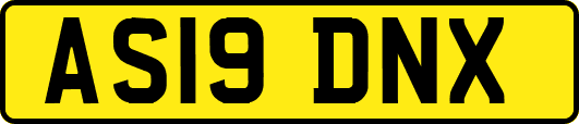 AS19DNX