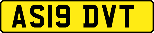 AS19DVT