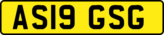 AS19GSG
