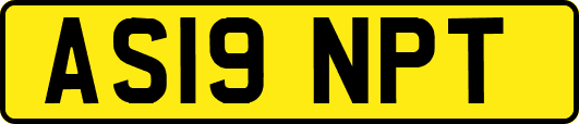 AS19NPT