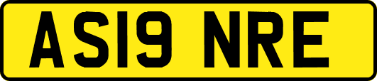 AS19NRE