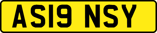 AS19NSY