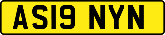 AS19NYN