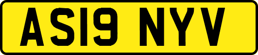 AS19NYV