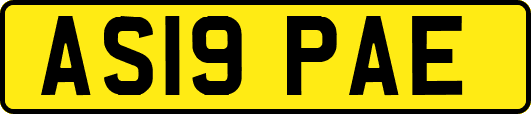 AS19PAE