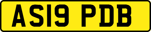 AS19PDB