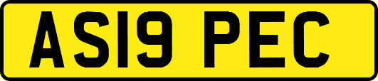 AS19PEC