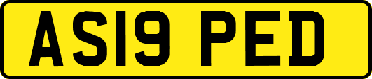 AS19PED