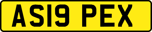 AS19PEX