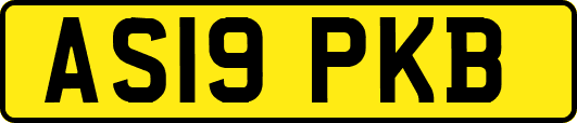 AS19PKB