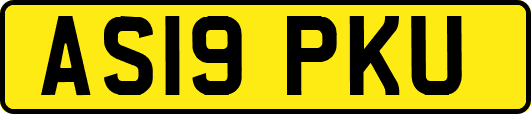 AS19PKU