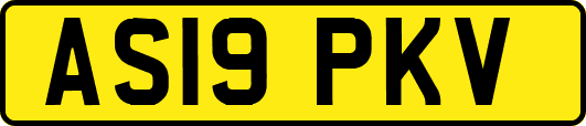 AS19PKV