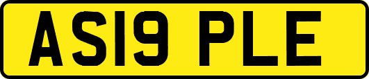 AS19PLE