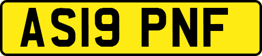 AS19PNF