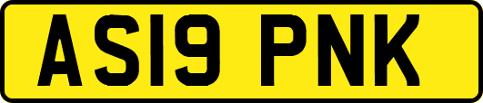 AS19PNK