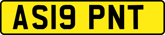 AS19PNT