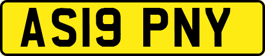 AS19PNY