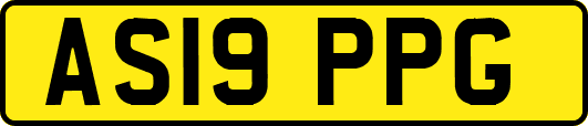 AS19PPG