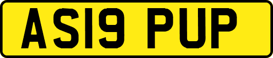 AS19PUP