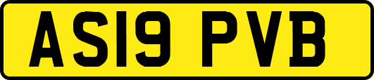 AS19PVB