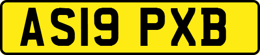 AS19PXB