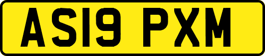 AS19PXM