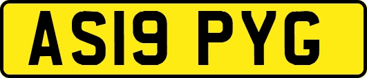 AS19PYG