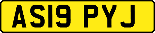 AS19PYJ