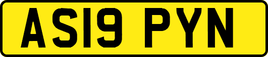 AS19PYN