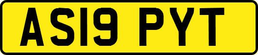 AS19PYT