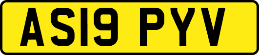 AS19PYV