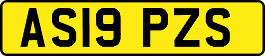 AS19PZS