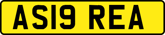 AS19REA