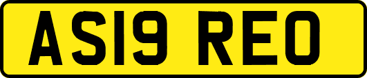 AS19REO