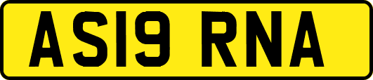 AS19RNA