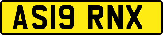 AS19RNX