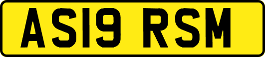 AS19RSM